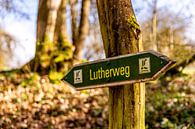 Een heerlijke lentewandeling door het prachtige Heldburger Land in het district Hildburghausen - Thüringen - Duitsland van Oliver Hlavaty thumbnail