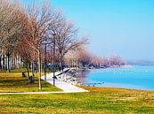 Een winterwandeling aan het Trasimenomeer van Dorothy Berry-Lound thumbnail