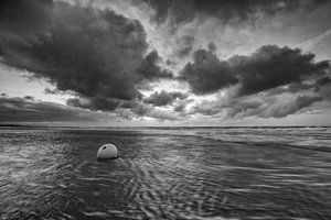 De boei aan de kust! van Peter Haastrecht, van