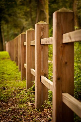 Tot hier... en niet verder