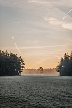 Paysage d'hiver près de Junne / Beerze sur Holly Klein Oonk