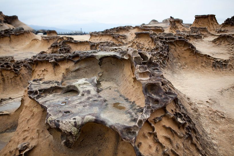 Yehliu Geopark: een heel veld met rots-erosies, Taiwan van Kees van Dun