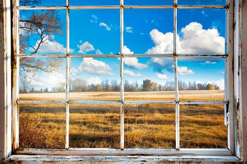 uitzicht uit het raam