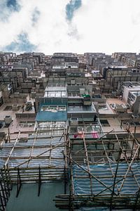 Terrasse mit Bambusgestellen von Mickéle Godderis