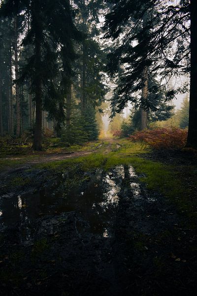 Autumn. by PEEQ.