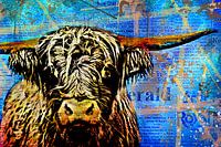 Schotse Hooglander in Andy Warhol stijl