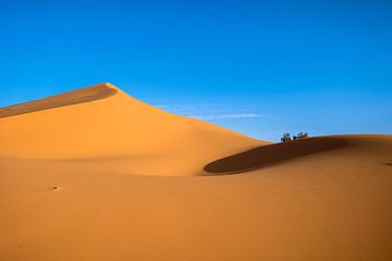 Desert in Morocco by Gabi Siebenhühner