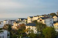 Blick auf die Stadt Sassnitz auf der Insel Rügen von Rico Ködder Miniaturansicht