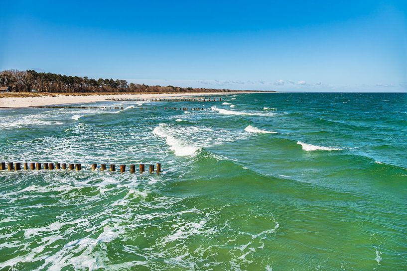 Buhnen und Wellen an der Ostseeküste in Zingst auf dem Fischlan von Rico Ködder