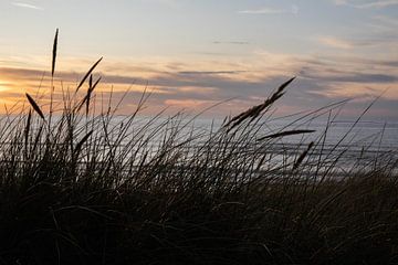 Duinen van Maxpix, creatieve fotografie