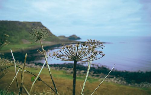 Giant's Causeway uitzicht