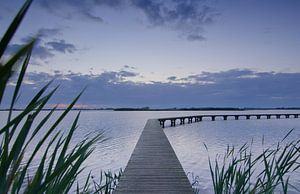 Walk on the water