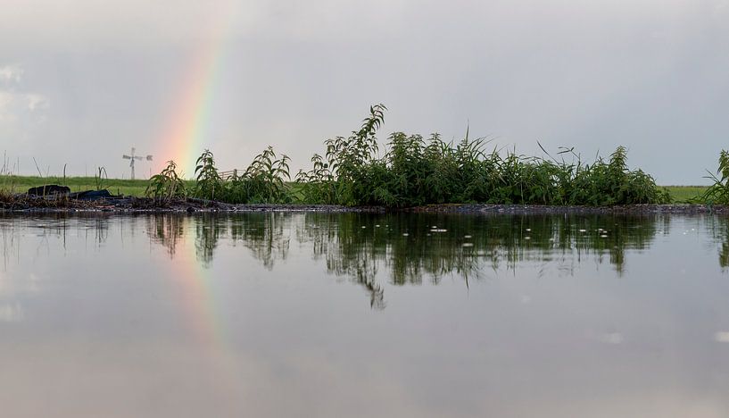Regenboog in de sloot van Hans de Waay