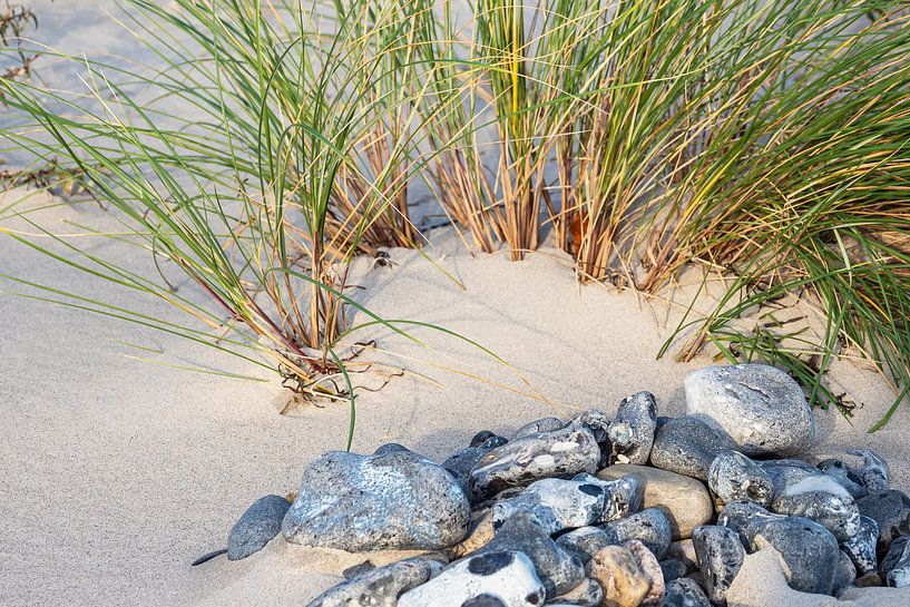 Ostseeküste bei Klintholm Havn in Dänemark von Rico Ködder