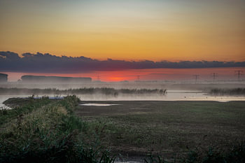 Ochtend in de Dordtse Nieuwe Biesbosch