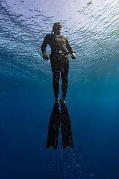 Freediver ascending