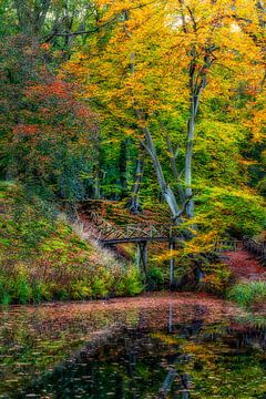 Herbstwald, der sich im Wasser spiegelt von Ferdinand Mul