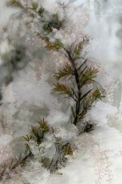 Winter landscape by Art. by Janine