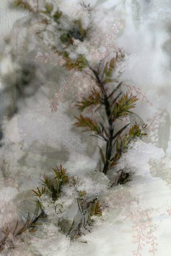 Abstracte fotografie | Fine Art Nature | Winterlandschap