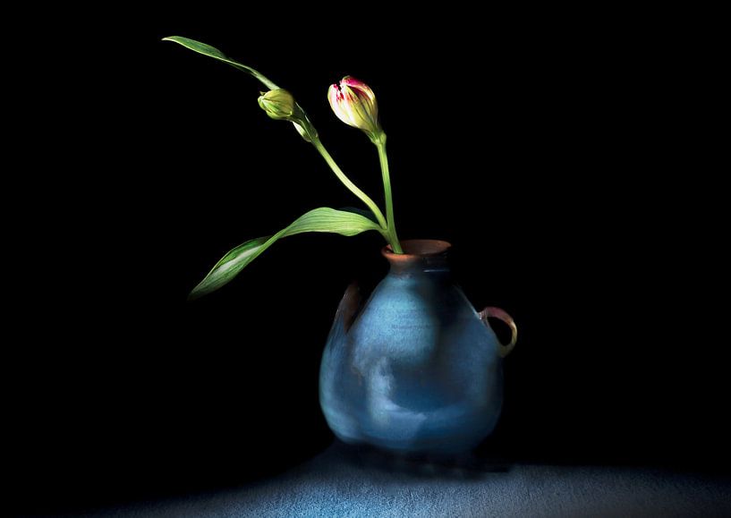 Nachtbloem van Koos Hageraats