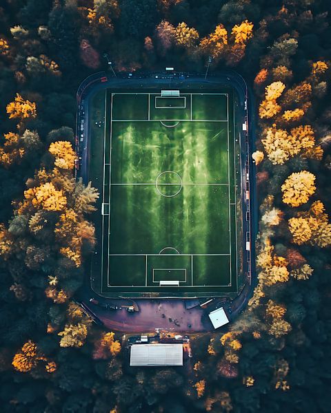 Sportveld vanuit de lucht van fernlichtsicht