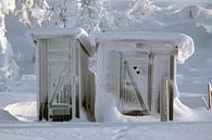 Bevroren openbaar toilet von Barbara Koppe Miniaturansicht