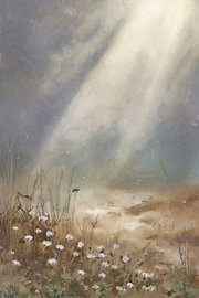 Winter Meadow — La lumière à travers les nuages sur Whale & Sons