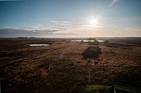 vast heathland during very dry summer