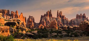 Sunset Canyonlands National Park, Utah by Henk Meijer Photography
