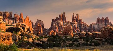 Sonnenuntergang Canyonlands National Park, Utah von Henk Meijer Photography