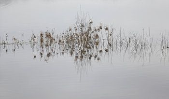 om rustig van te worden