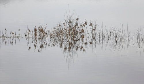 om rustig van te worden