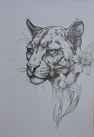 Panther and Line by F.A.L.K.E. photography and art