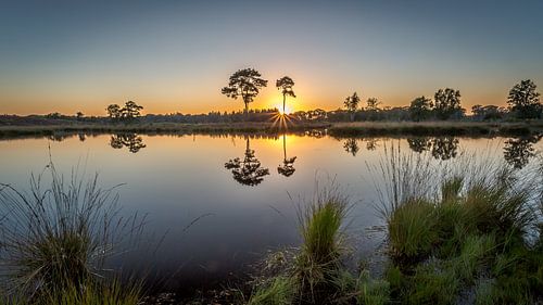 Zonsondergang in spiegelbeeld