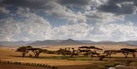 Simien Berge Äthiopien von Gerard Burgstede Miniaturansicht