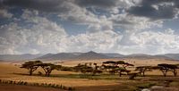 Simien Mountains, Ethiopie