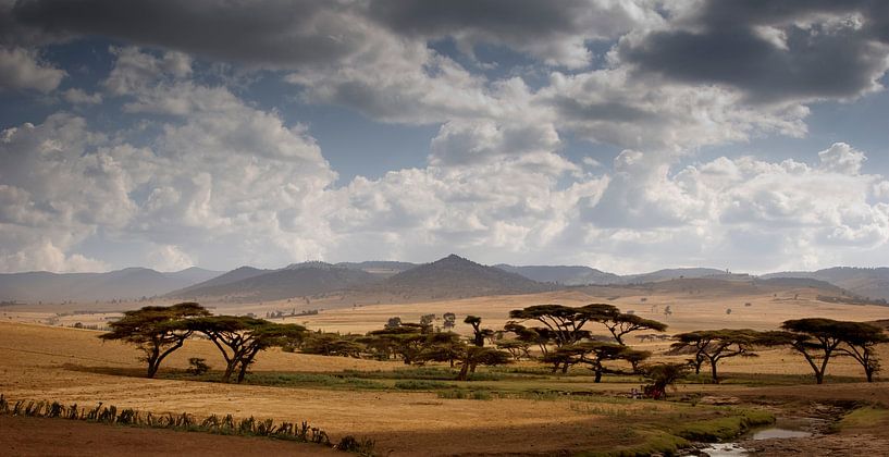 Simien Berge Äthiopien von Gerard Burgstede