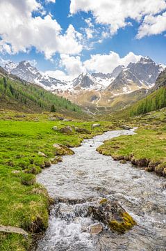 Ruisseau de montagne dans l'alpage de Stabele, dans la vallée de l'Ötztal, au Tyrol.