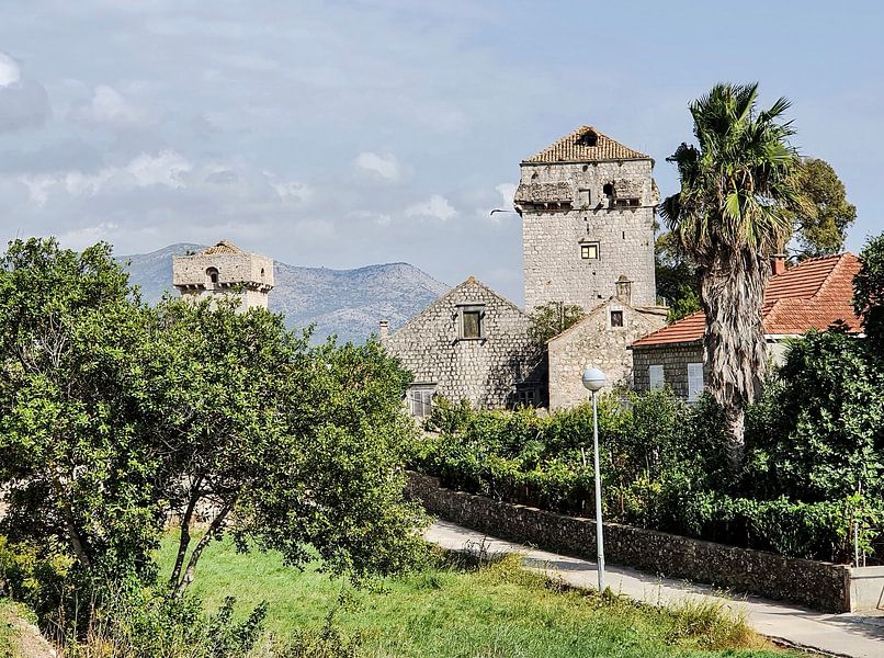 Croatia Motif 31 by zam art