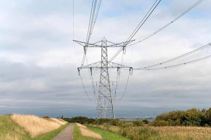 High-voltage pylons Markiezaatsmeer by Richard Wareham