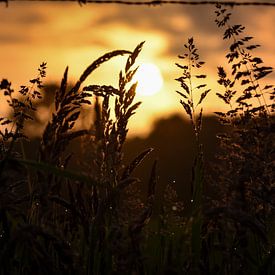 zonsopkomst op de akkers van Jeannette Fotografie