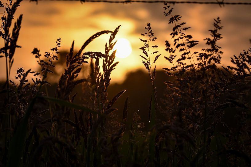 sunrise in the fields by Jeannette Fotografie
