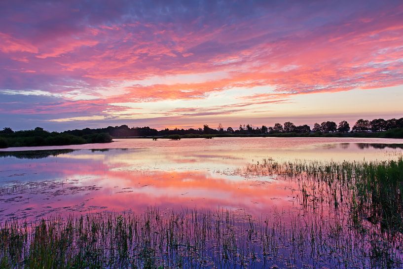 Colors of dawn by Anneke Hooijer