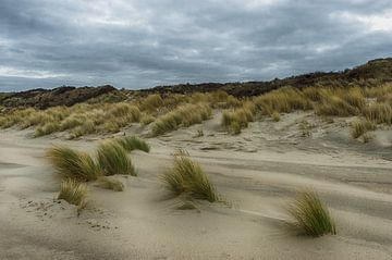 Nuages sombres au-dessus des dunes sur Mark Bolijn