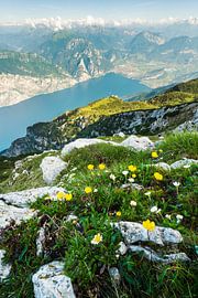 Blick vom Monte Baldo auf den nördlichen Gardasee mit Torbole und Riva del garda