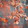 Herfst