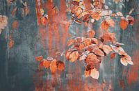 Malerisches Herbstlaub