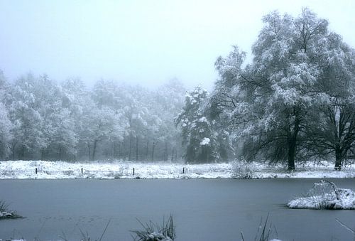 bevroren meertje 