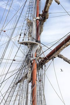 Ship's mast with rigging by Jacqueline Gerhardt