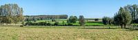Green panorama from Zandbergen by Werner Lerooy thumbnail